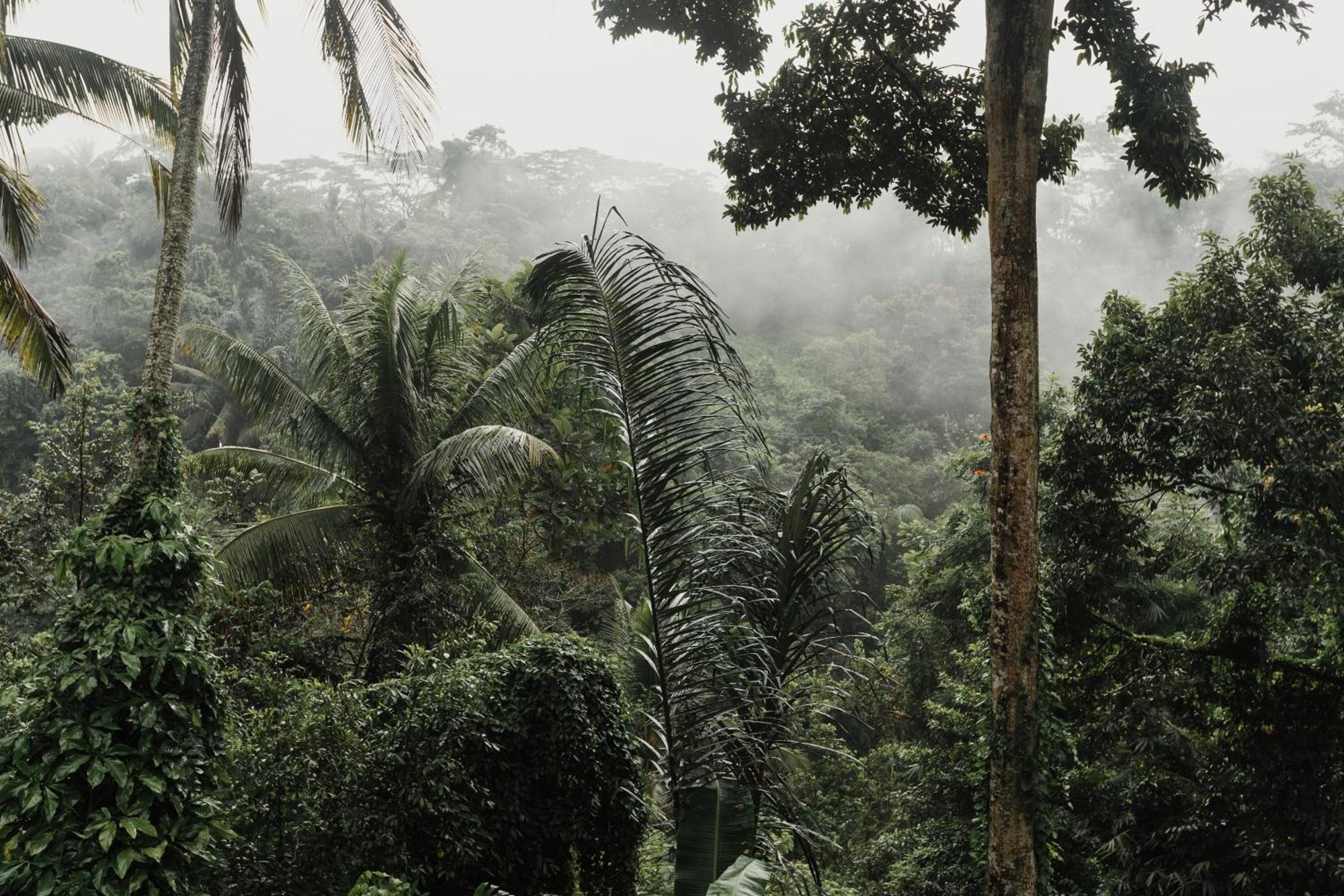 The Iyang Hotel Ubud